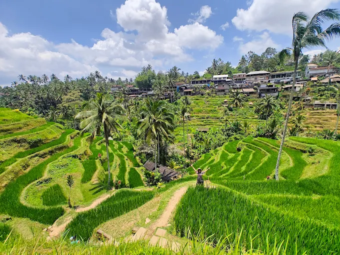 Tegallalang Rice Terrace Bali