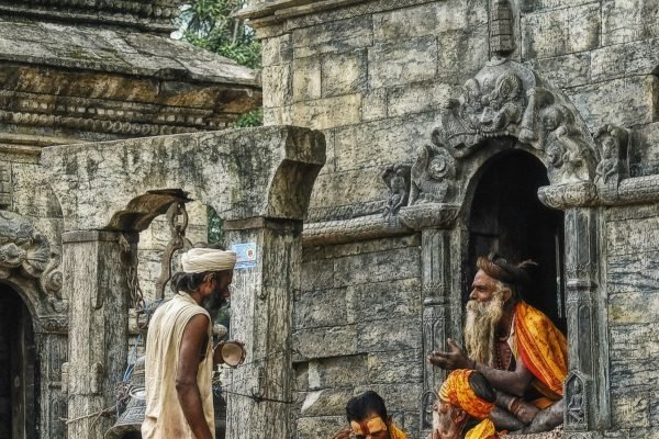 rohan-reddy-mx8J768YZyo-unsplash